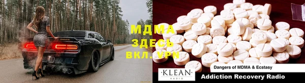 шишки Ельня