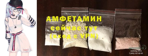 шишки Ельня