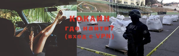 шишки Ельня