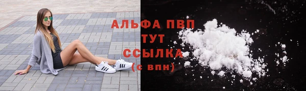 шишки Ельня