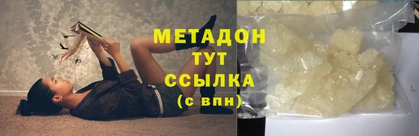 шишки Ельня