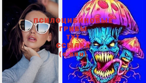 apvp Заволжье