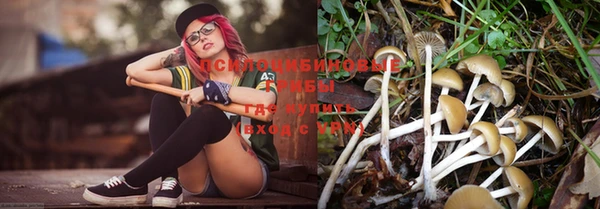 шишки Ельня