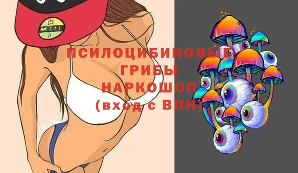 шишки Ельня