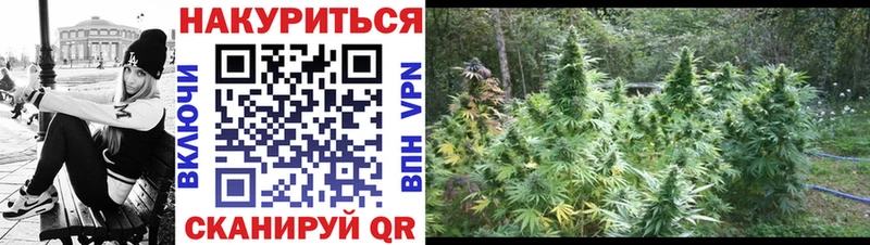 как найти   Находка  Шишки марихуана семена 